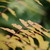 :iconpictureperfect-024: