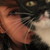 :iconpicturetellsastorie:
