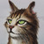 :iconpie4u2: