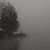 :iconpiebald111: