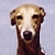 :iconpieboyyy: