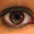 :iconpiehay: