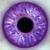 :iconpiemunch2:
