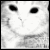 :iconpiercedemotions: