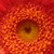 :iconpiercephotos: