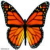 :iconpierrot-k: