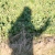:iconpieterphotos: