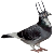 :iconpigeon-of-doom: