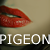 :iconpigeonakacarro:
