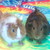 :iconpiggiepigs094: