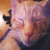 :iconpiggy-n-daisy: