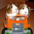 :iconpiggymodels: