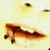 :iconpiggysama: