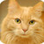 :iconpigletthekitty: