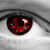 PigRider :iconpigrider: