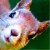 :iconpike89: