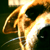 :iconpikeonyx: