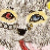 :iconpikkolo94: