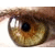 :iconpiknik-z-mrowek: