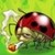 :iconpikstudio: