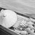 :iconpilgrim-elune: