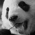 :iconpilotts: