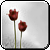 :iconpimthida: