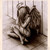 :iconpina11:
