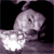 :iconpinars: