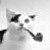:iconpinault: