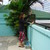 :iconpinaybu: