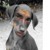 :iconpinchandtwist: