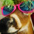 :iconpineapplesarecool: