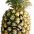 :iconpinejapple: