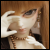 :iconpinepine-bjd: