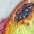 :iconpinfreak: