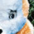 :iconpink-bunny-suit: