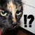 :iconpink-duckfoot:
