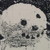 :iconpinkappletree: