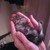 :iconpinkbow99: