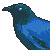 :iconpinkceo:
