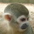 :iconpinkclown: