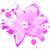 :iconpinkflower-plz1: