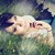 :iconpinkiidesign: