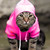 :iconpinkittykatt: