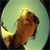 :iconpinklonesome: