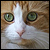:iconpinkphotos: