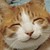 :iconpinkpixie12: