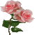 :iconpinkrosenangel: