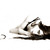 :iconpinkskittz:
